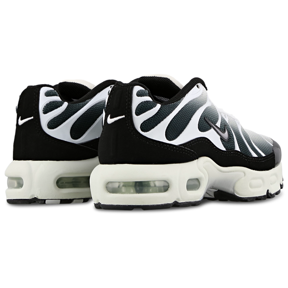 Nike TN Air Max Plus Black Metallic Cool